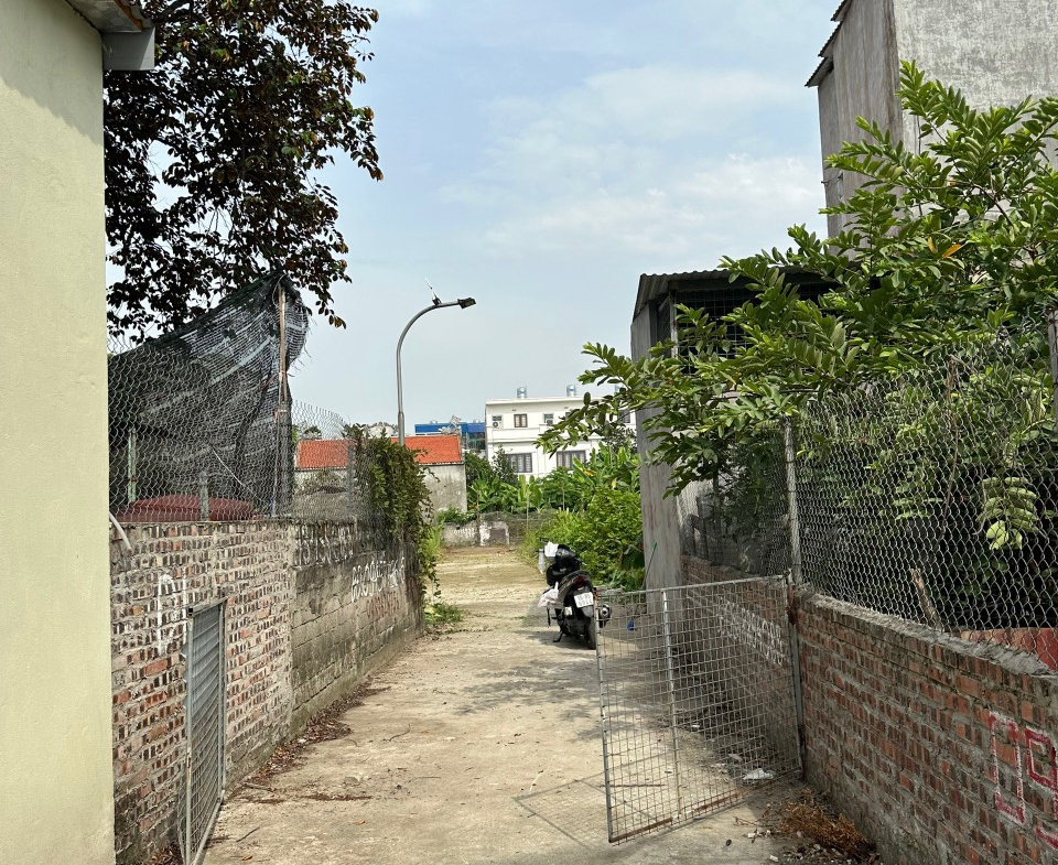 z4521300902810_b6d136323322fc12a0e962a16d92ee4d