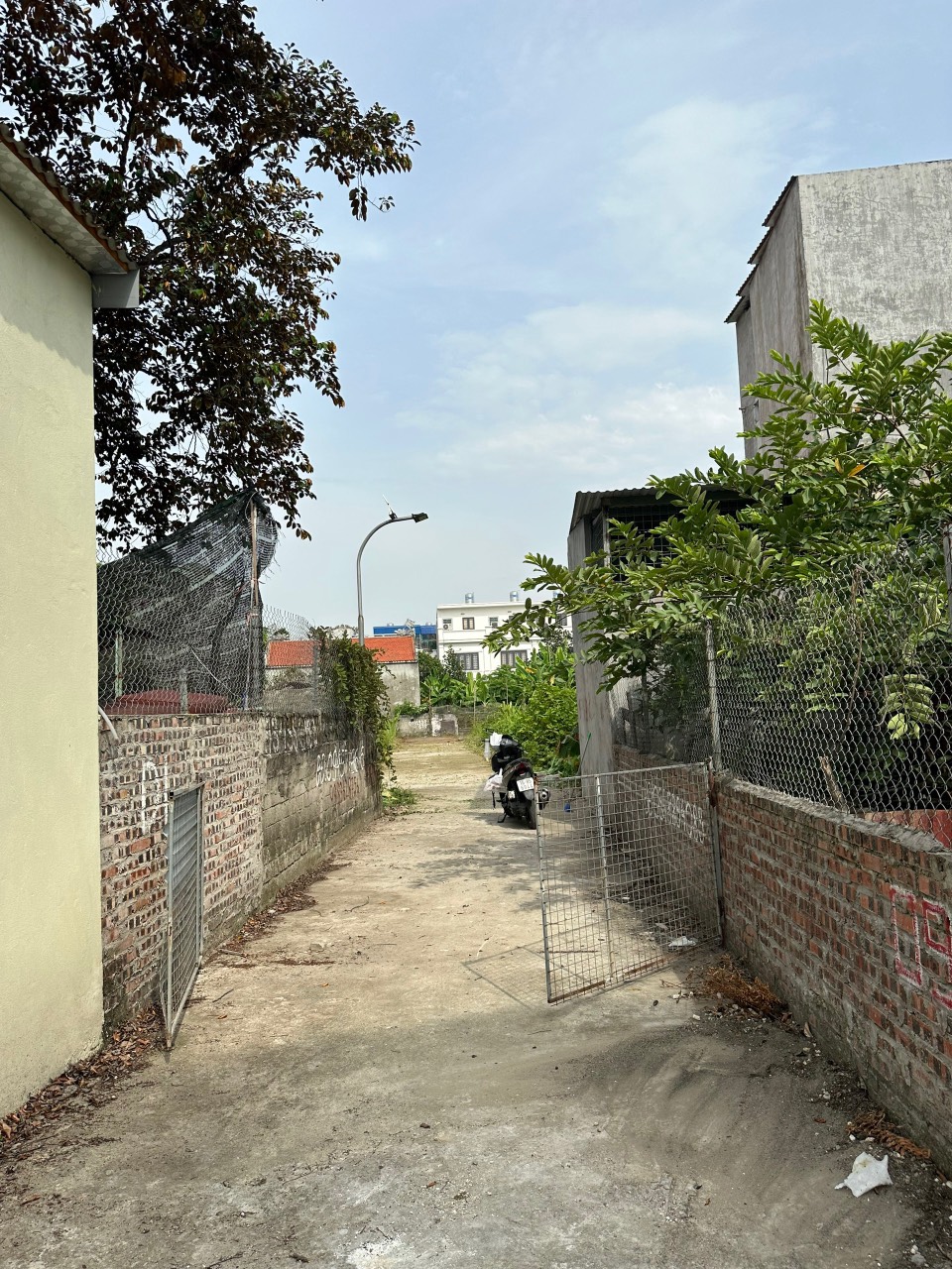 z4521300902810_b6d136323322fc12a0e962a16d92ee4d