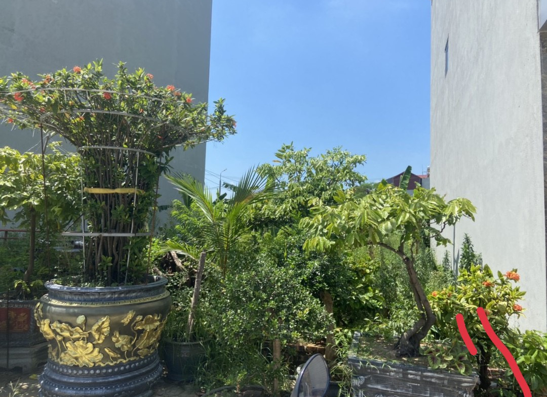 z4534647452055_191826b2d849d13fde23644a11177726