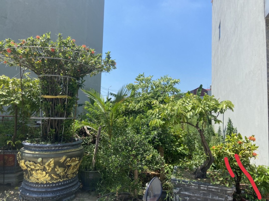 z4534647452055_191826b2d849d13fde23644a11177726