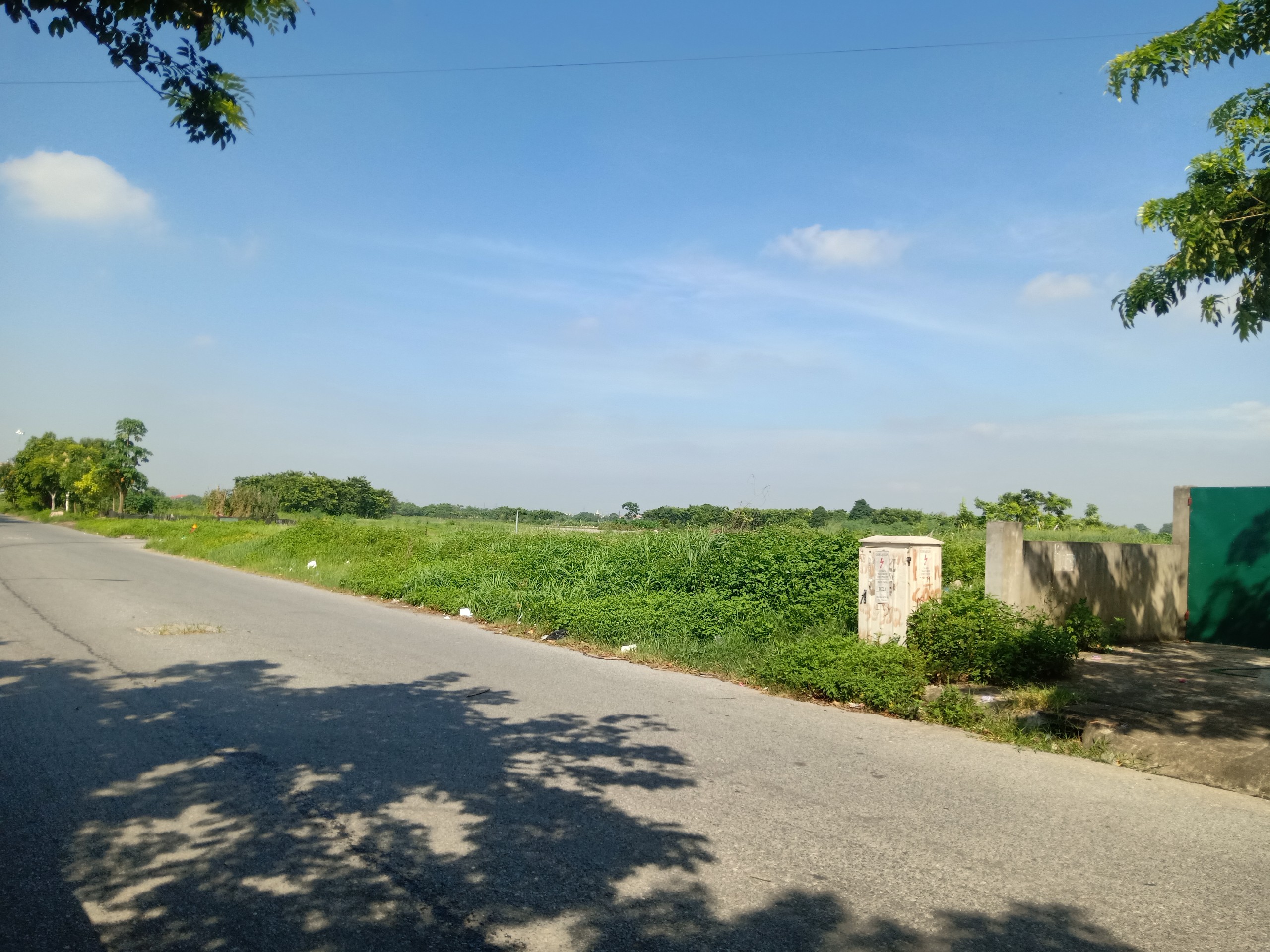 z4547811820212_e8074eda3a1353b65be2863b5220773d