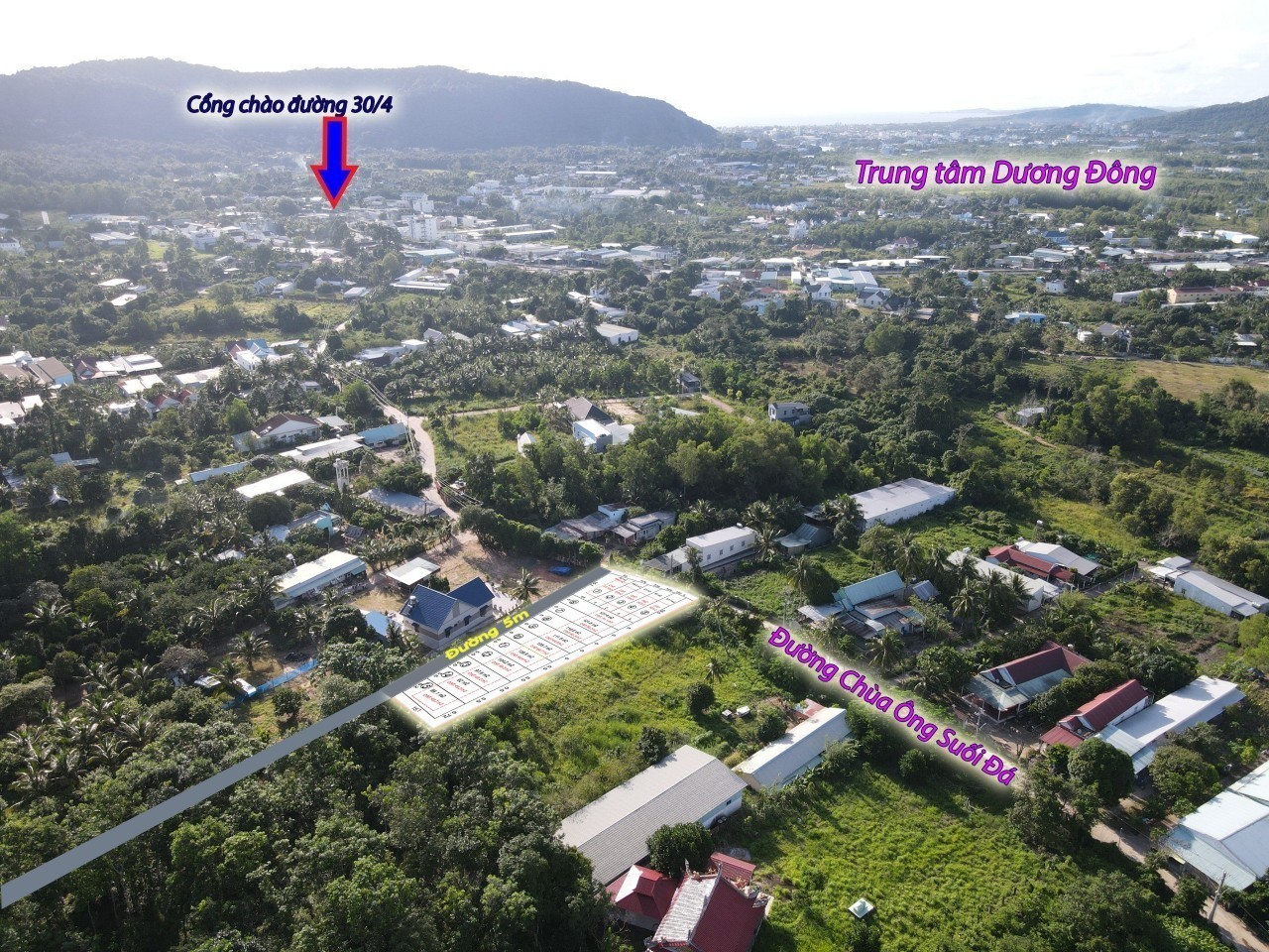 z4793834137088_7b06417d555744cd5ab3fa635f745a47