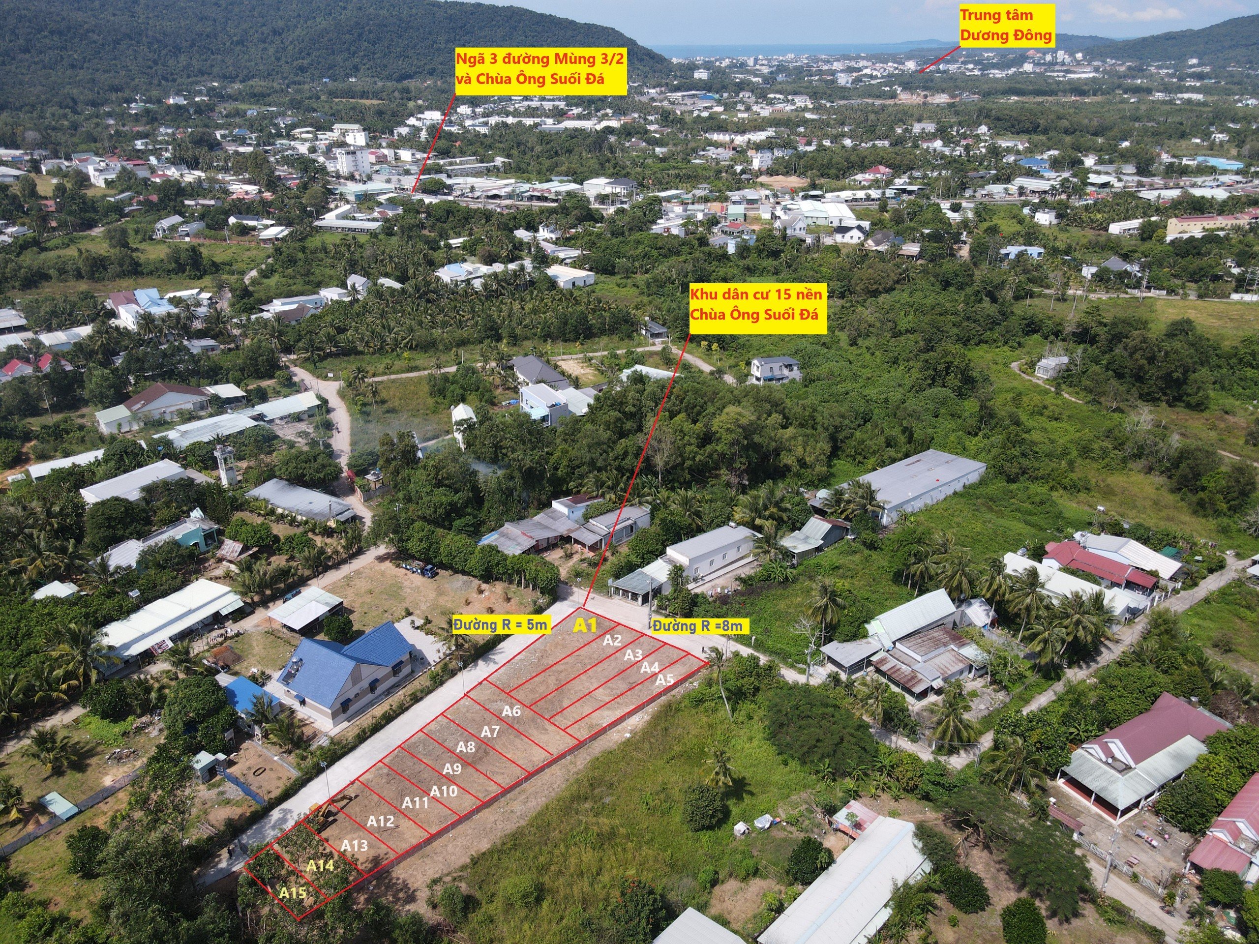 z4871351888387_5f2c356d8b7cea168c718a0f4667009b (1) (1)