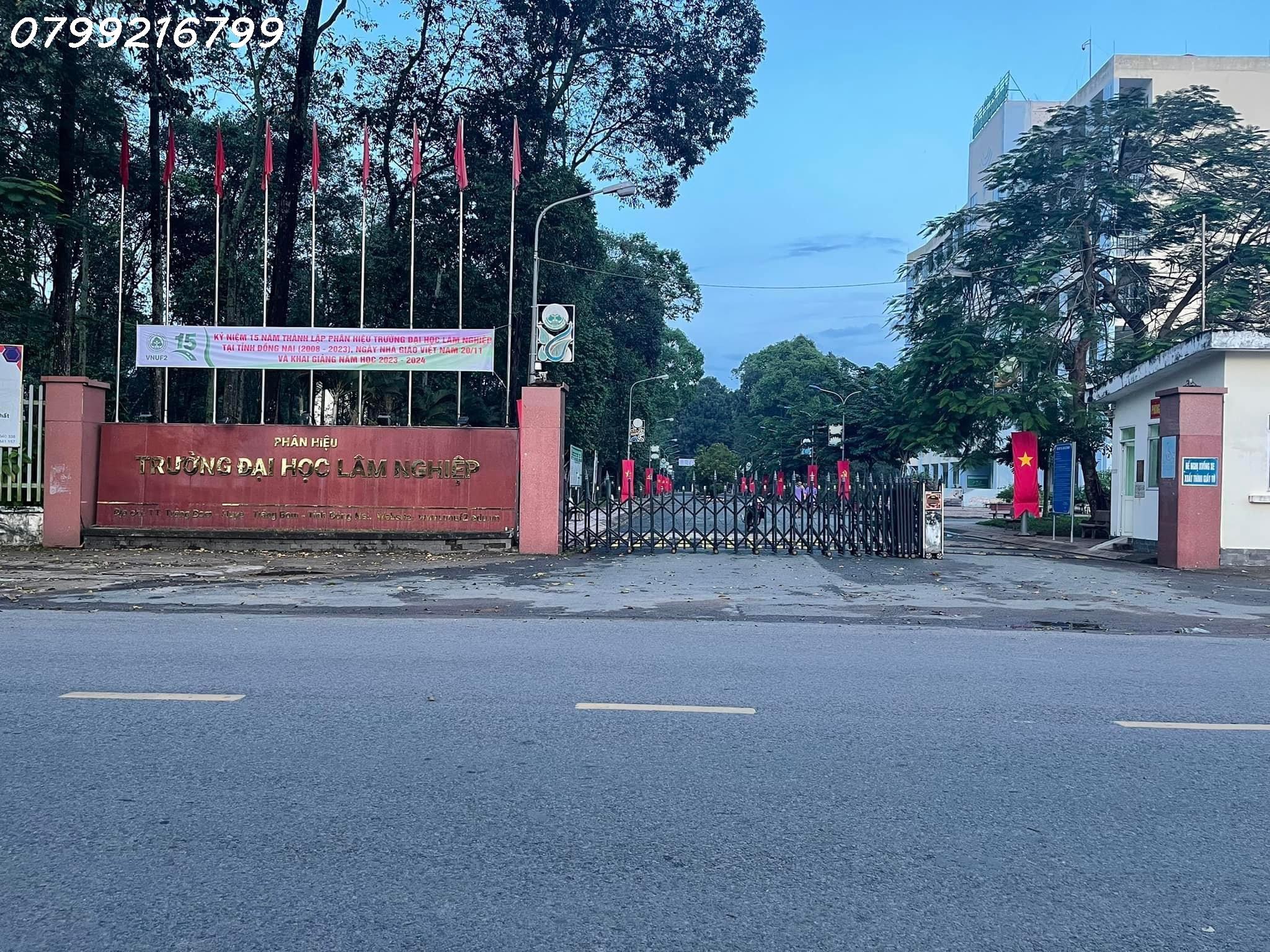 z4938555098589_248e62f8dfa7348a391ada428057e363.jpg_bak_638492215808486085.jpg_bak_638587934817415385