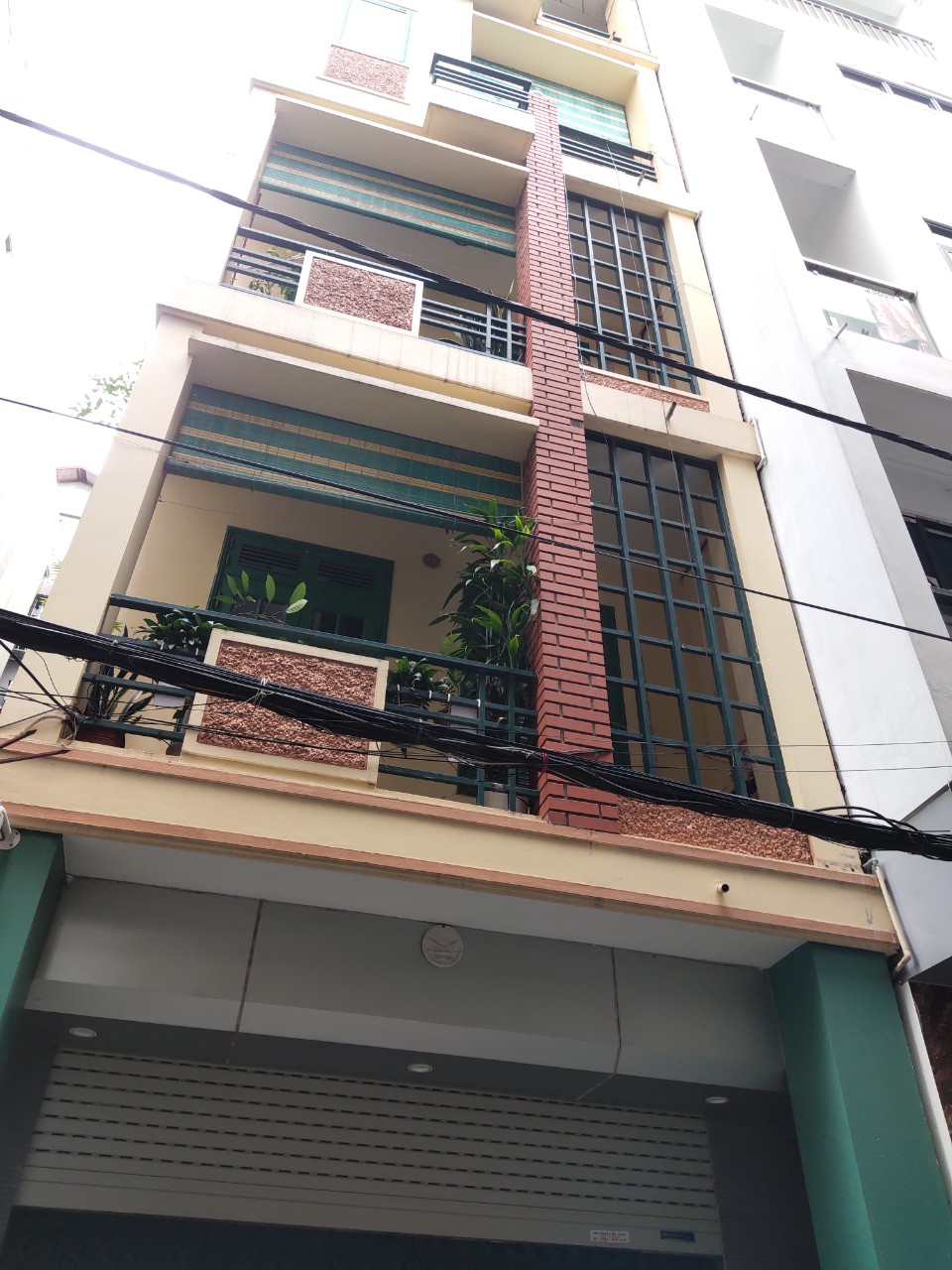 z4968228819880_eb9c49886d1952b13a0aa2fa162ebc78