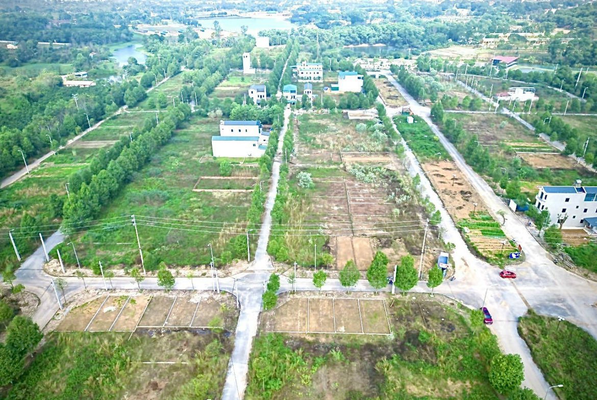 z5195613093908_74d1c9294de9f9fd4fc4383c69cfc38b