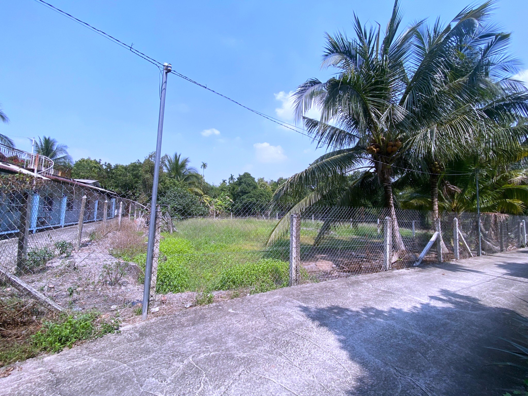 z5207938097231_344087e95996d11622d0061eea16b4ee