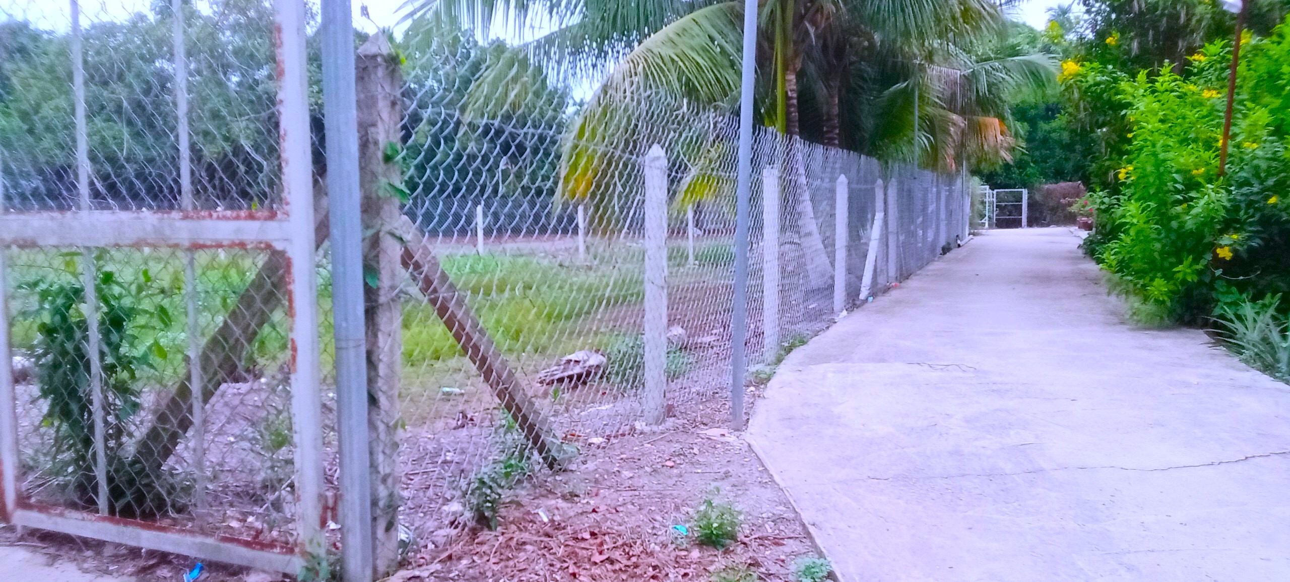 z5207939374244_05e43492396195a9f194b63018cf7267