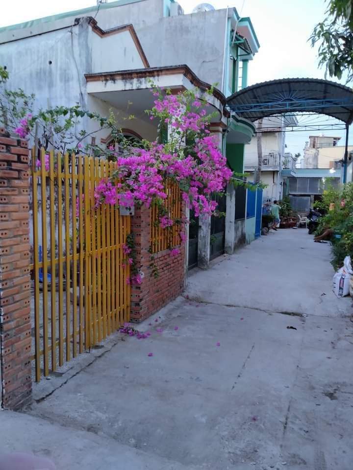 z5269439862371_12402e9f613dd951d3751dacd6c63238