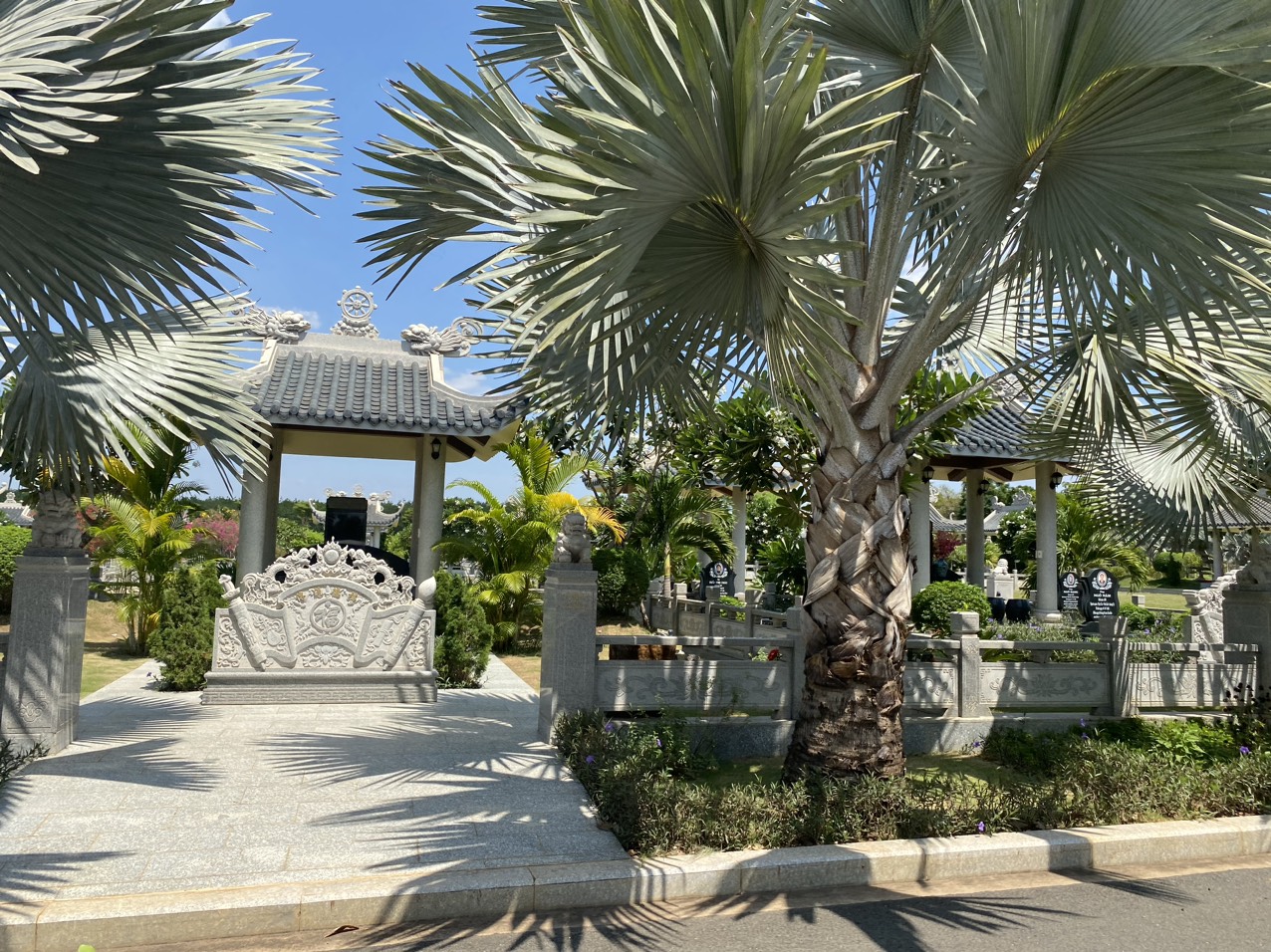 z5434918227279_b0b0c1fce36d213ffcd875cc11371a6d