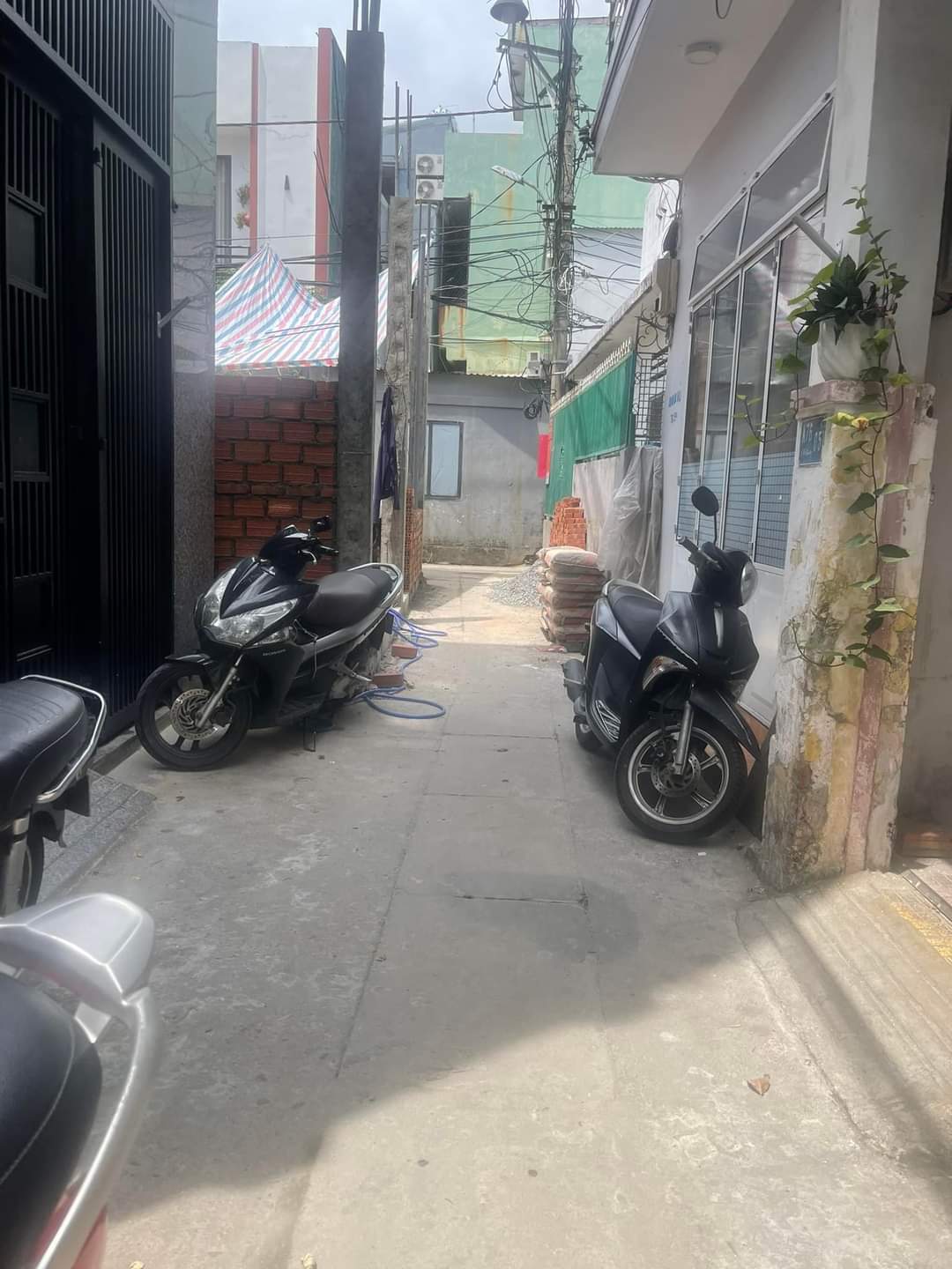 z5453141859607_625d3be607c2980fe453432c54212f10