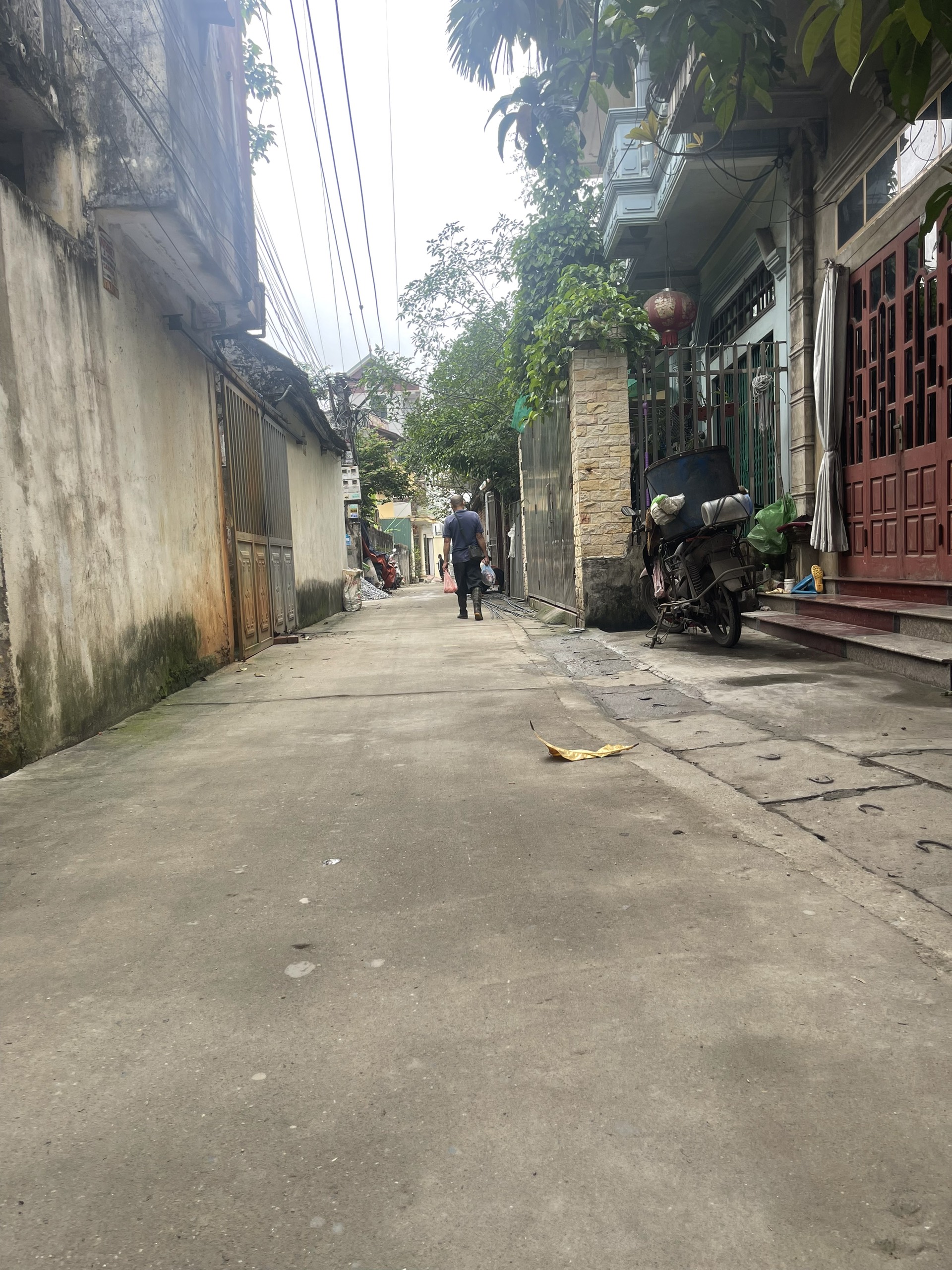 z5461769017214_fd7bb4d51163e3f57061864f532f8693