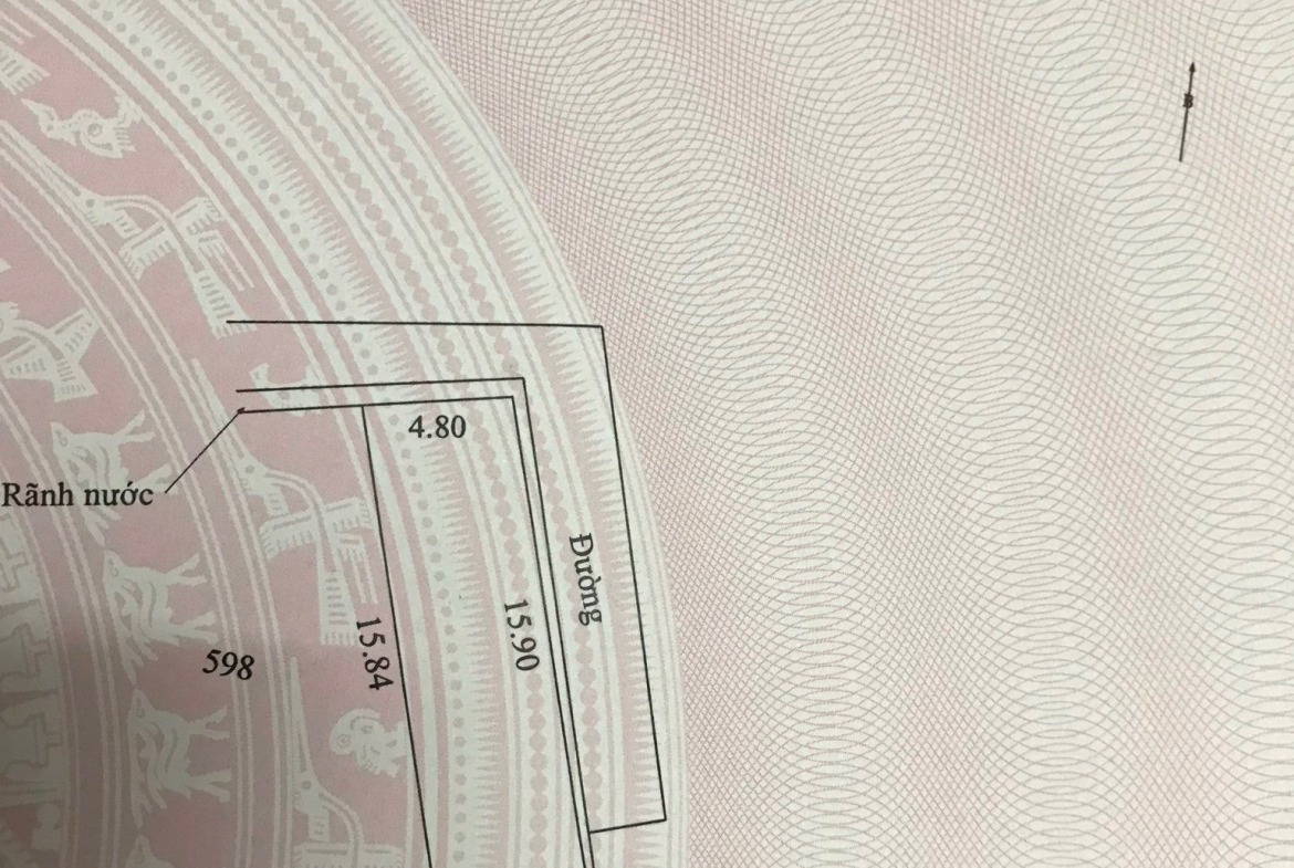 z5461769019004_c26a22ae82548eb039d2f25b52ef3389