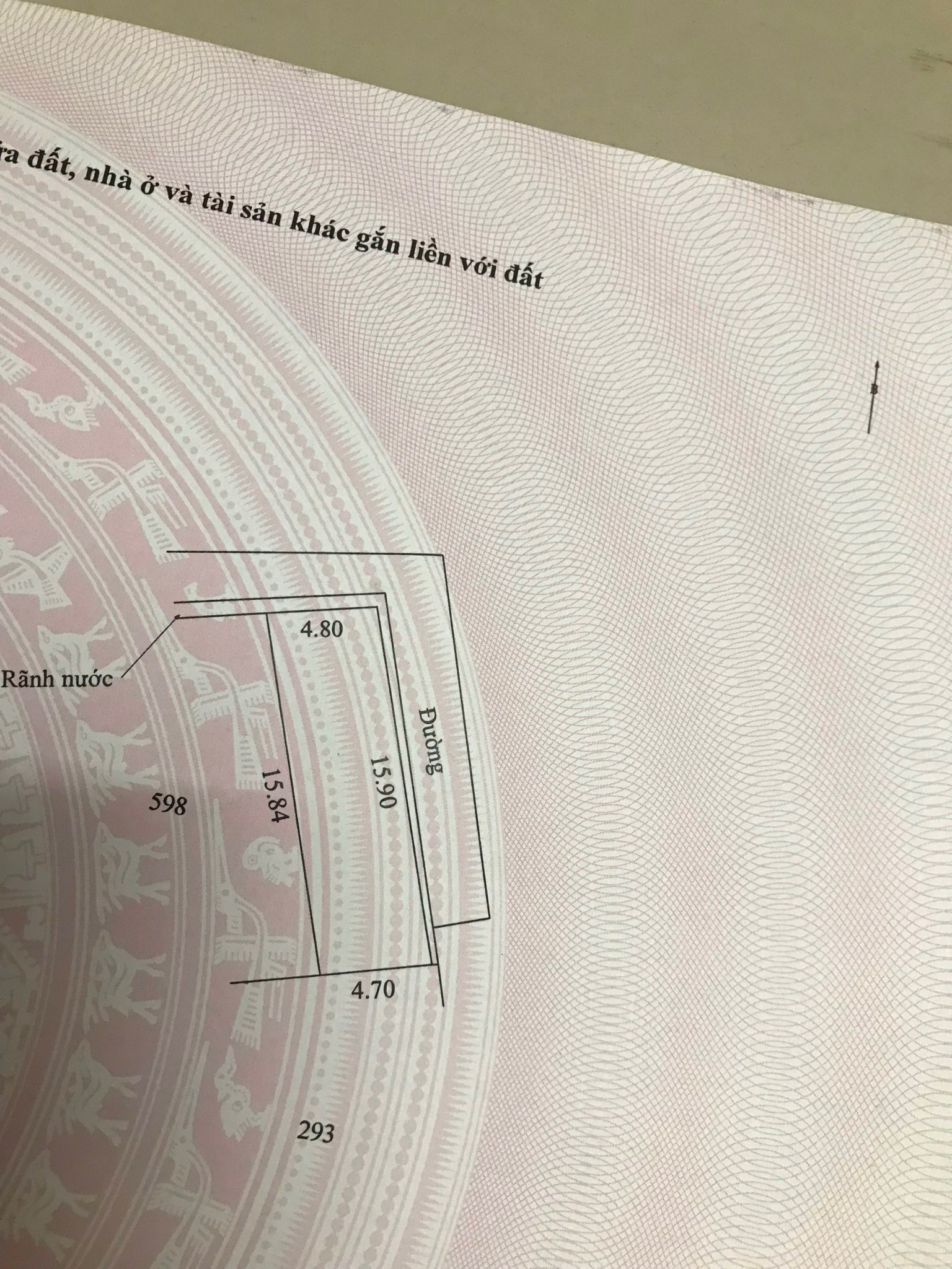 z5461769019004_c26a22ae82548eb039d2f25b52ef3389