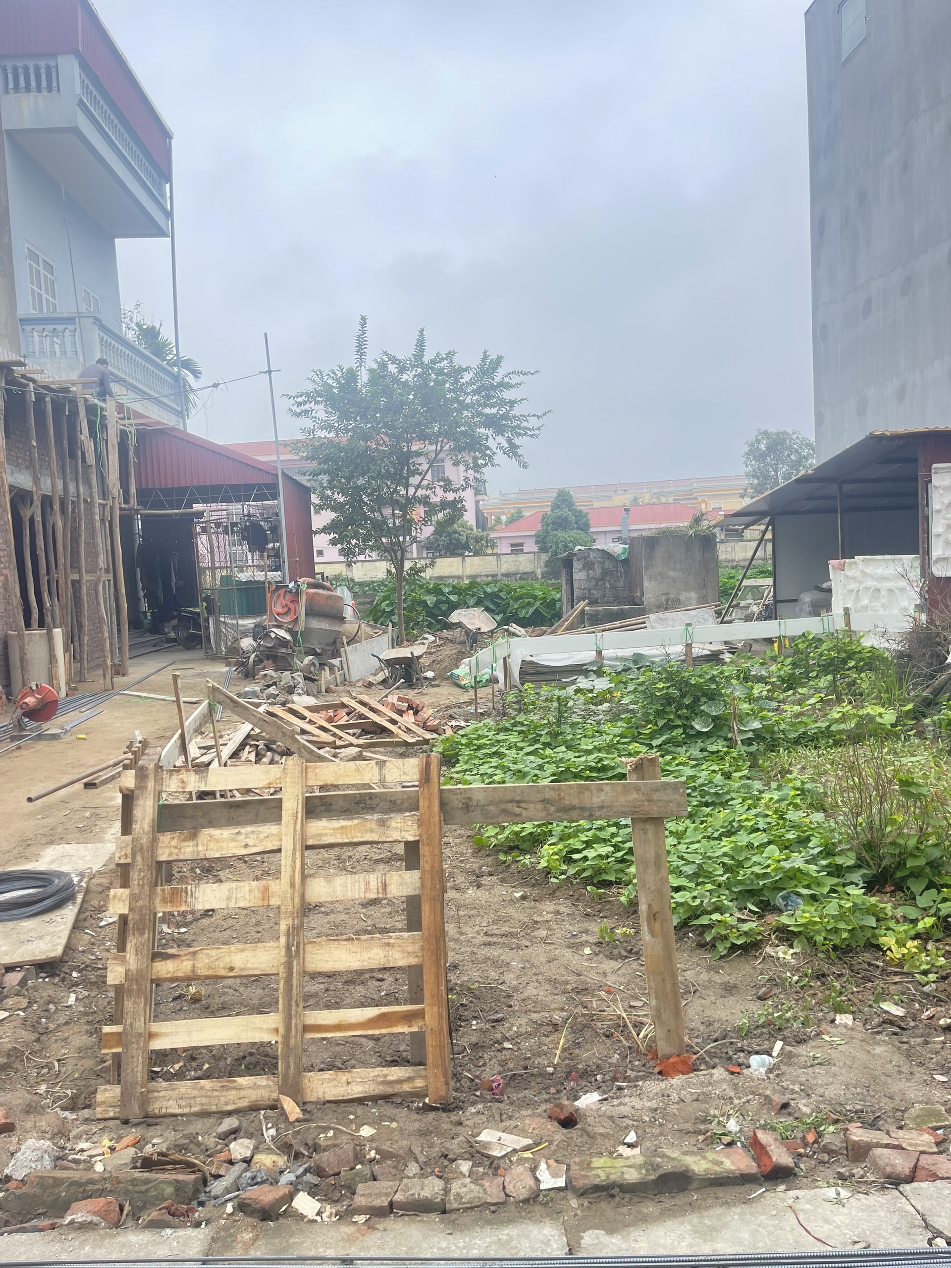 z5461769027931_45cc4289756271b9d96080ea431dab18