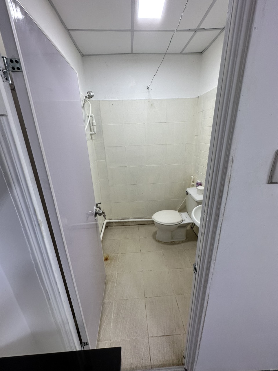 z5566833219658_ce1b12a824fd31c50d9e9fe722b5a986