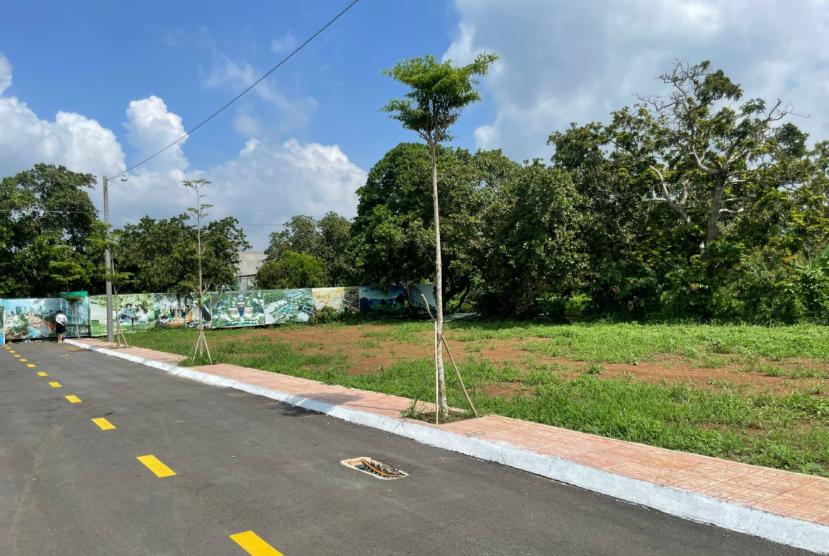 z5582009079462_af3e970258cfab426b9a3514cd512a5c