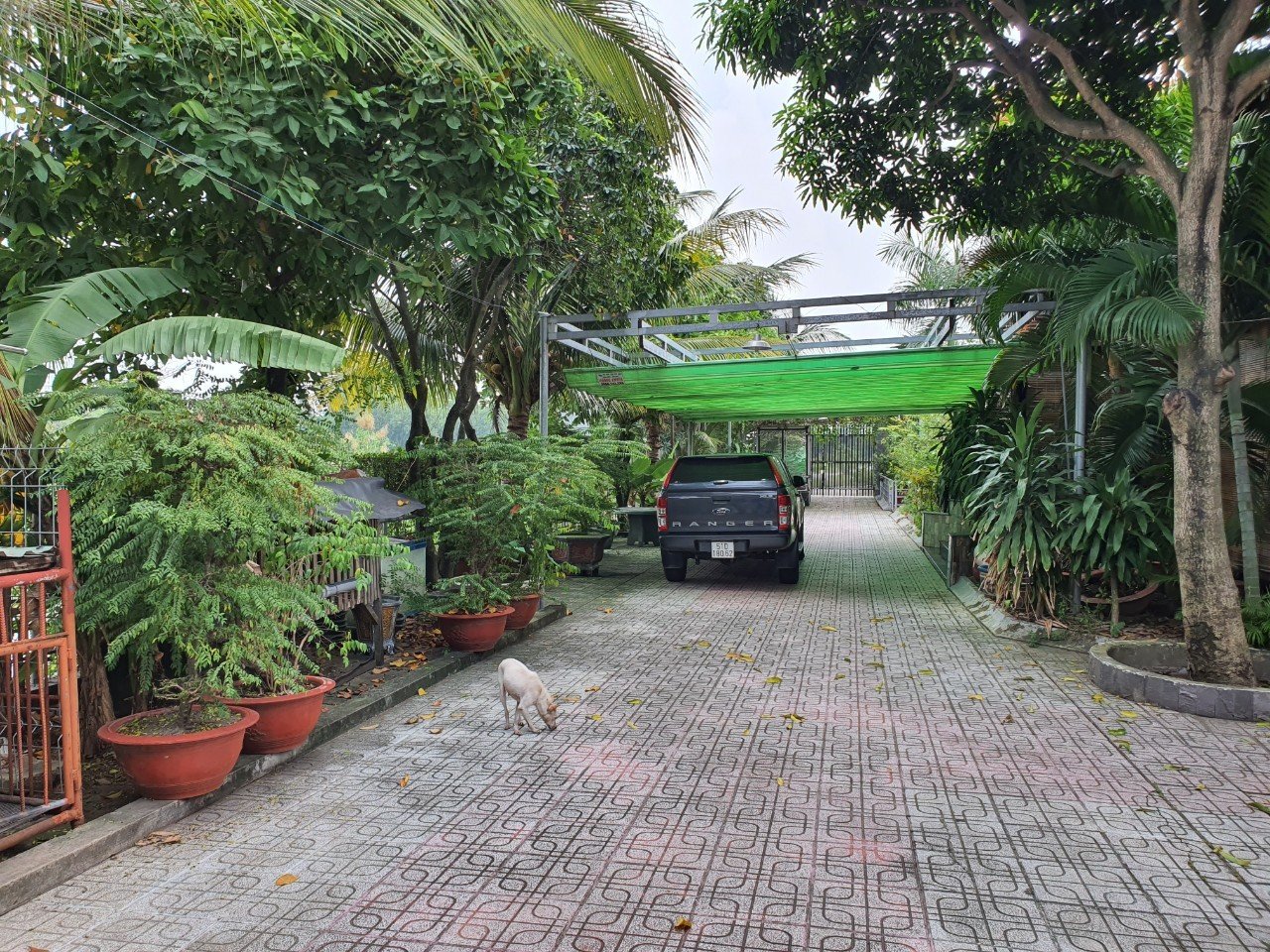 z5582165463249_6c4022d4872db60277a6cb98c26d3e6f