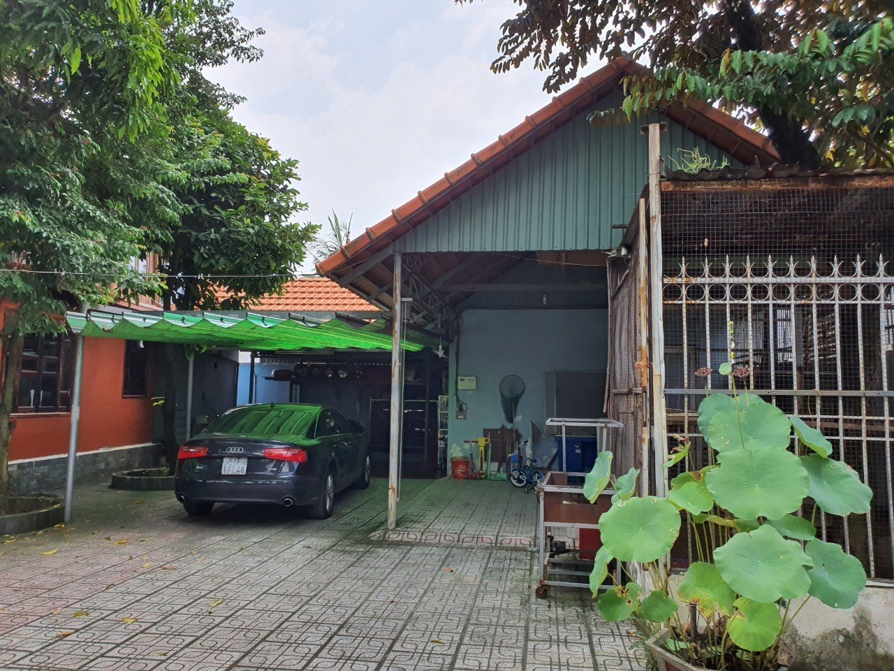 z5582165494861_a0d86d1fa14cdf53c00b9c1dcdff41b9