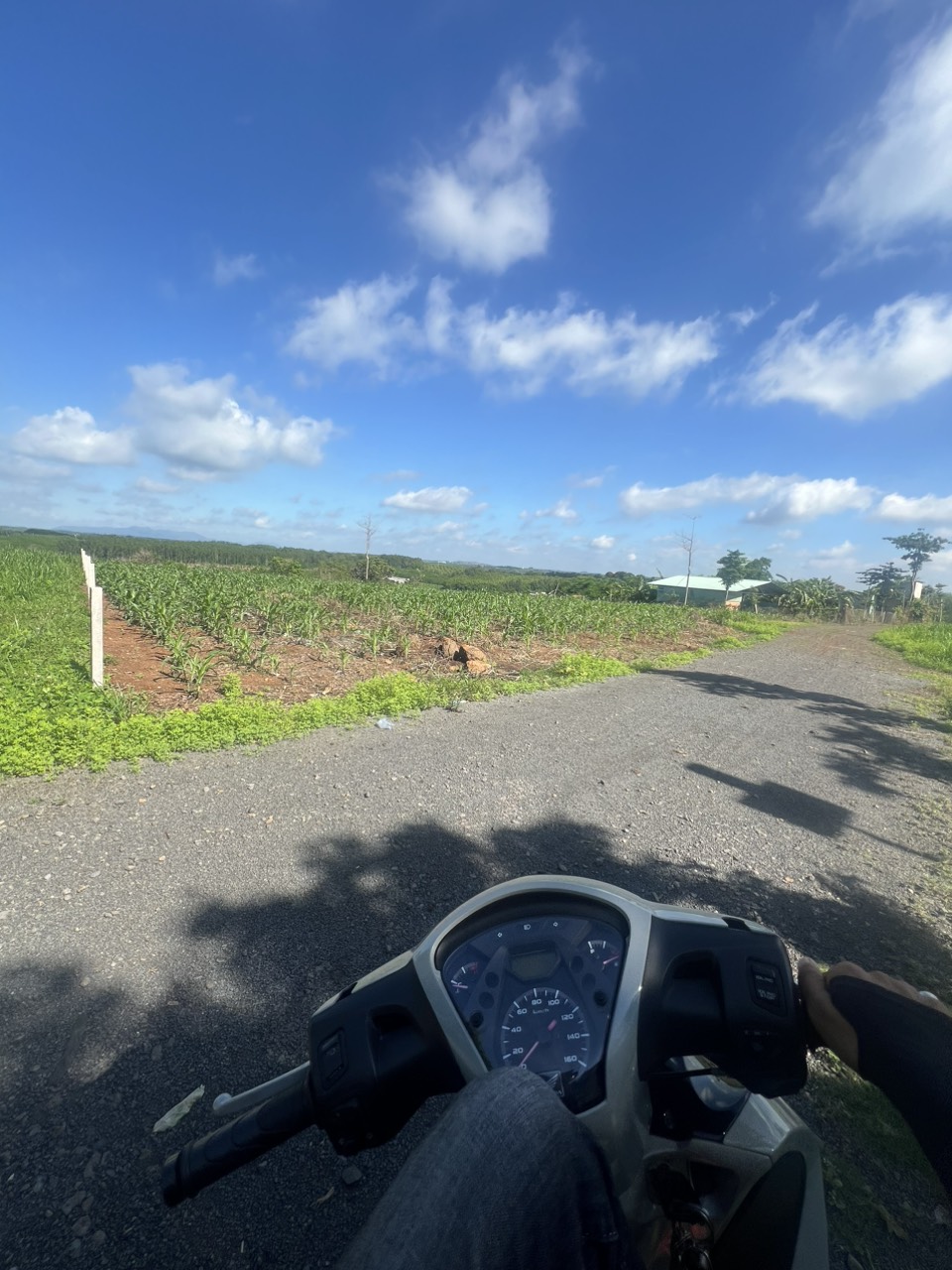 z5582977438162_4002a7709e7c8d09375714b16a6636b3