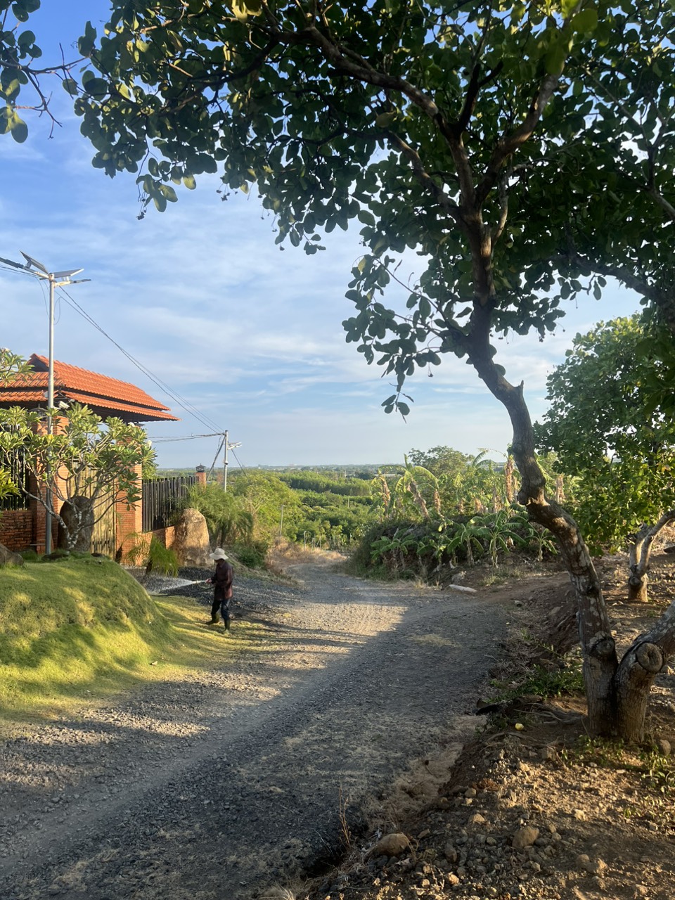 z5582977455484_a5eb650cd42308121d24763f2df3f26f