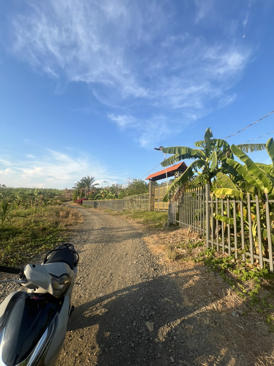 z5582977455695_395d20442022dfdaf60b50b41f6d125b