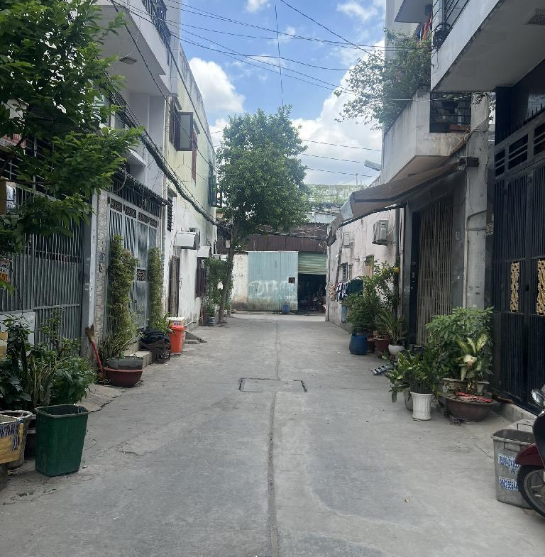 z5637878174184_800fa9c5a83cd4eed778bc3a5f7ff0b0