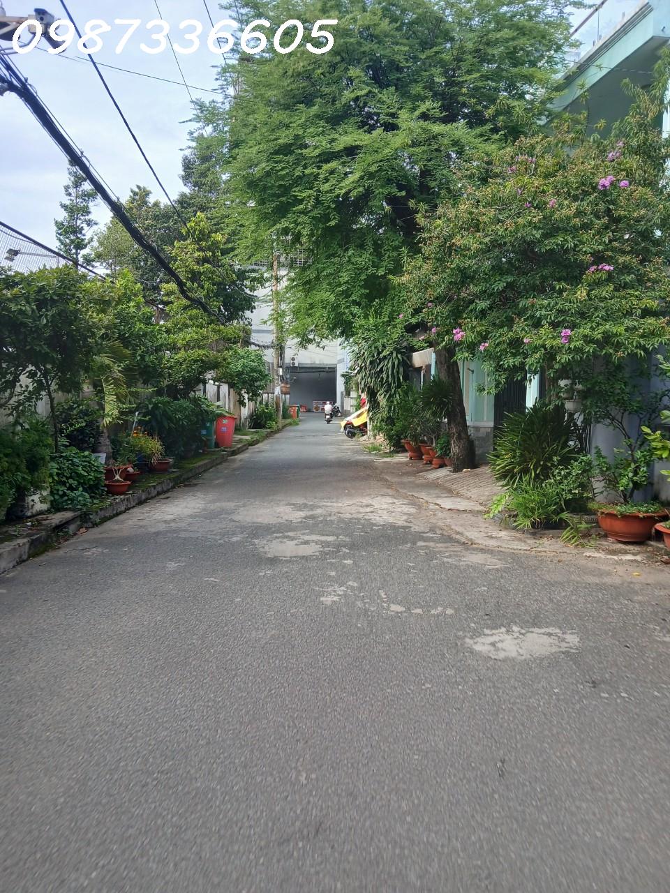 z5640360928829_623b4b1bc56f5c7cdb05e458b778bbae