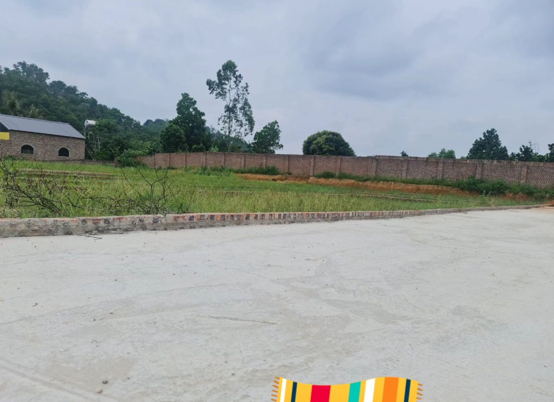 z5642081611873_bd035053d75042f2f9c90ca6f85226e9