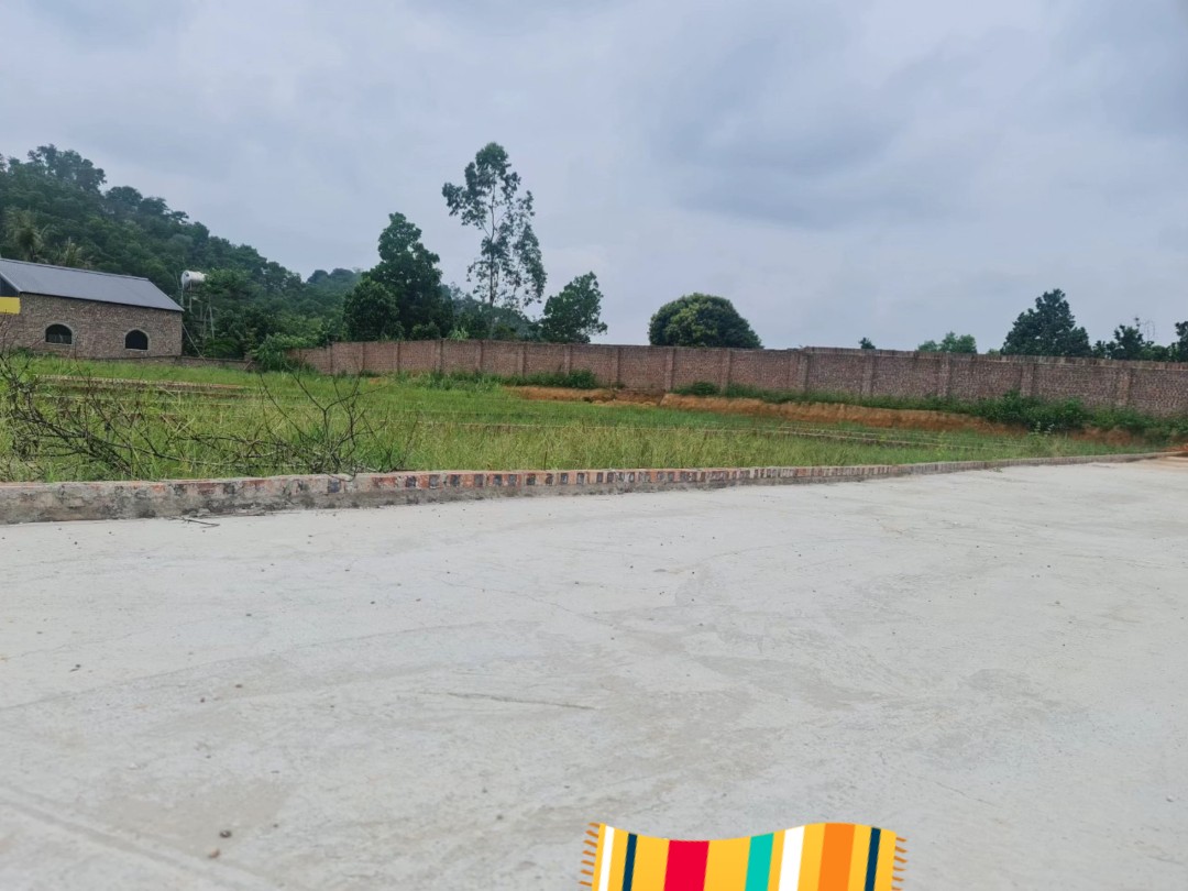 z5642081611873_bd035053d75042f2f9c90ca6f85226e9