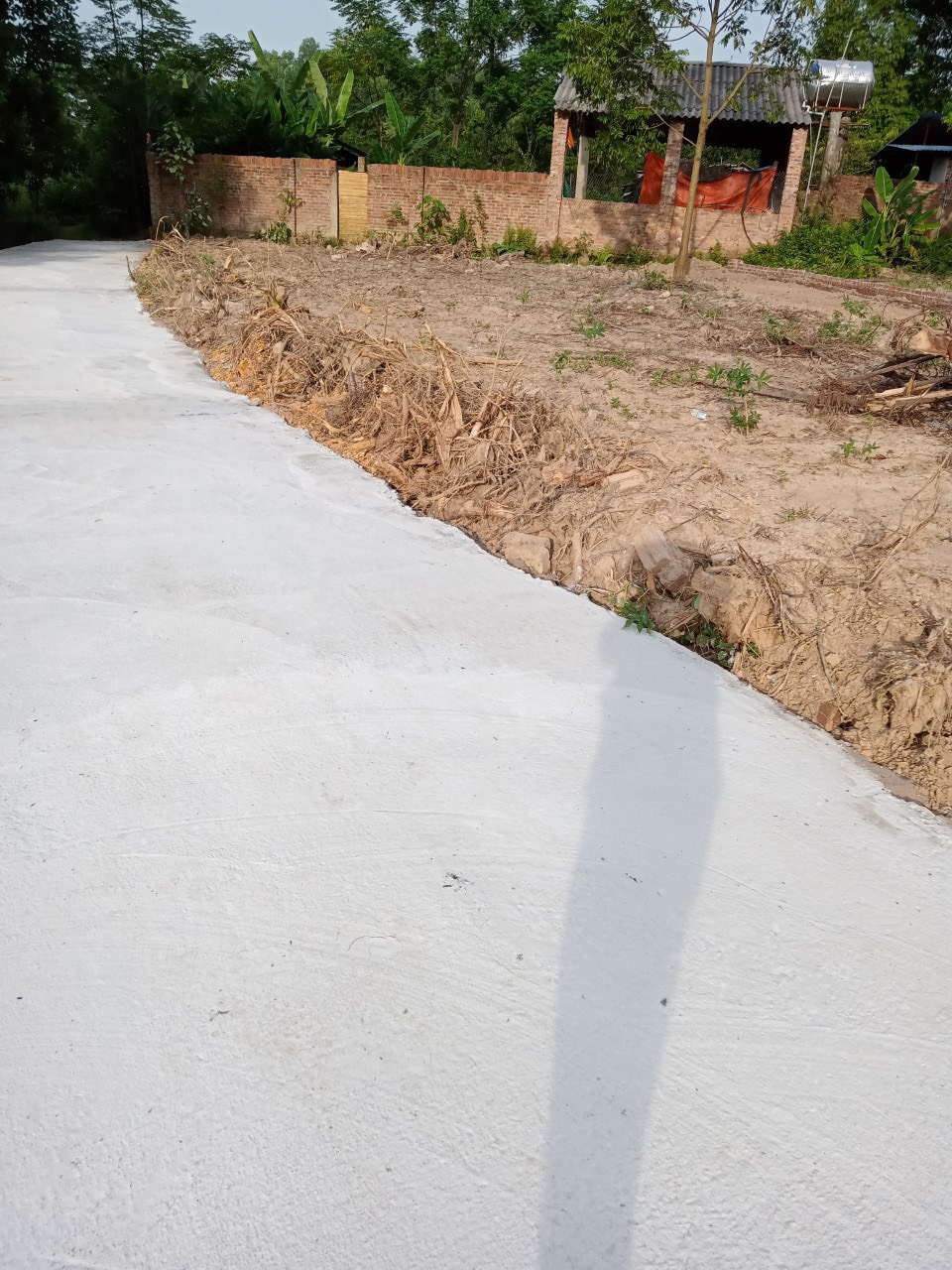 z5643102807733_d3763b23ee4dac122acb05d8d1f786b0