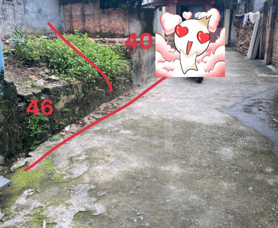 z5651749808492_bdeb195cfec0d32975b0625e9c7b7e17