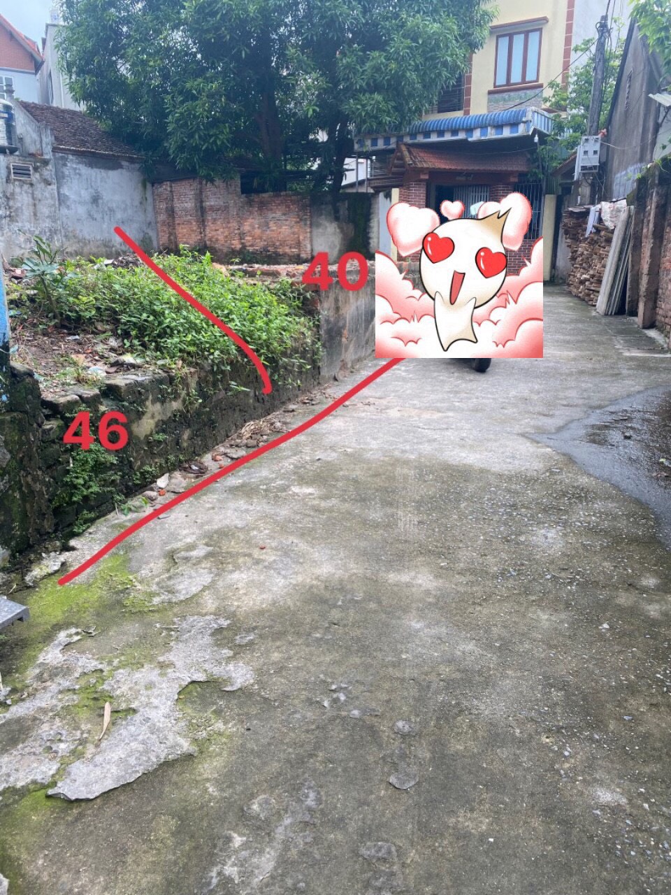 z5651749808492_bdeb195cfec0d32975b0625e9c7b7e17