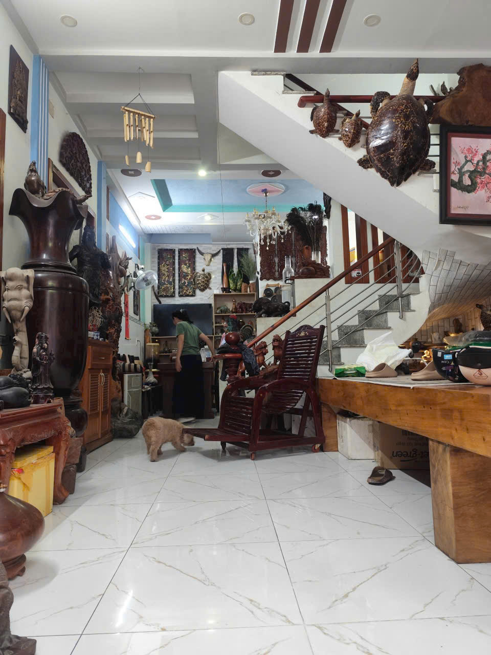 z5652481412870_a090aff117c5d9f09ac64f3bf1c76edd