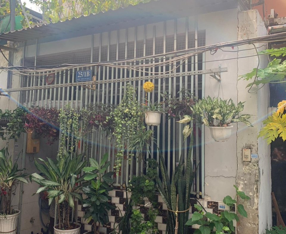 z5652537765339_801965a132e207858f4756a2916de524