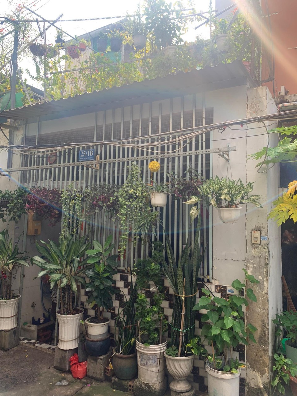 z5652537765339_801965a132e207858f4756a2916de524