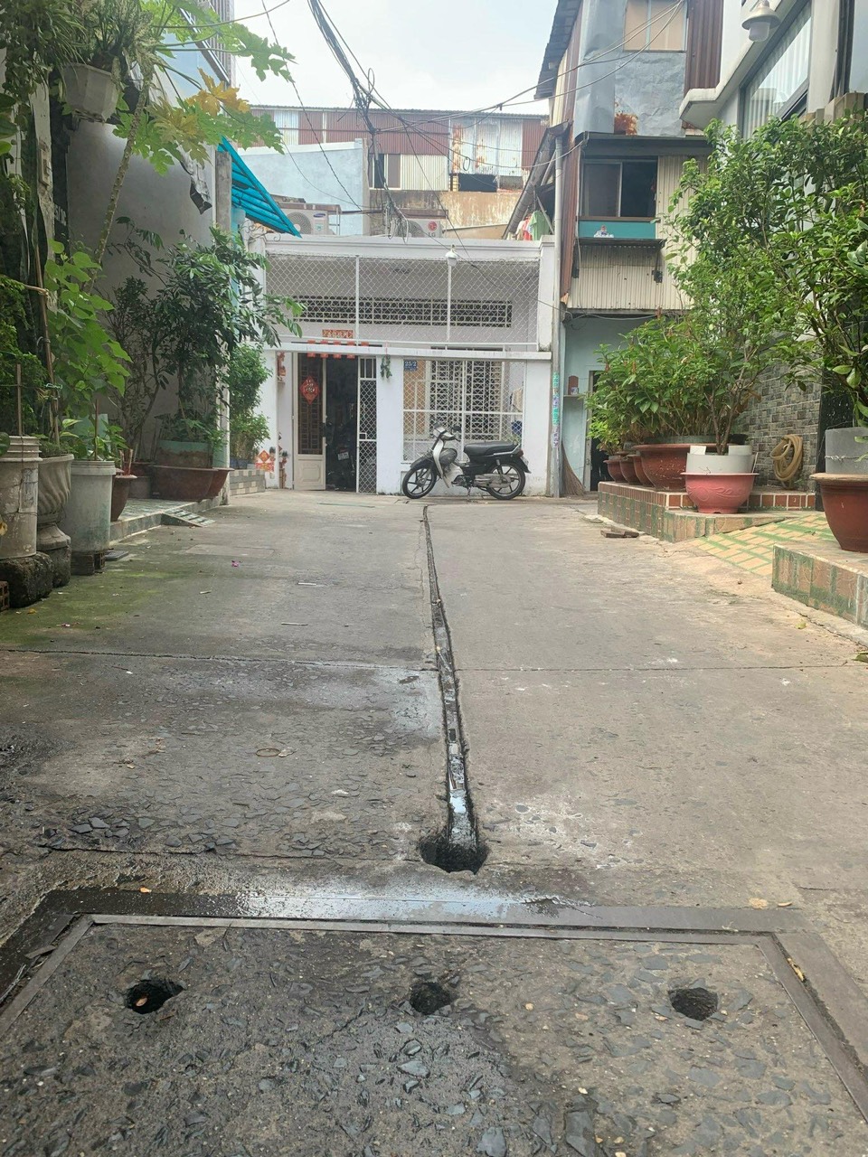 z5652537784599_8436c47ed15cbddcc62dd8b42ad701ab