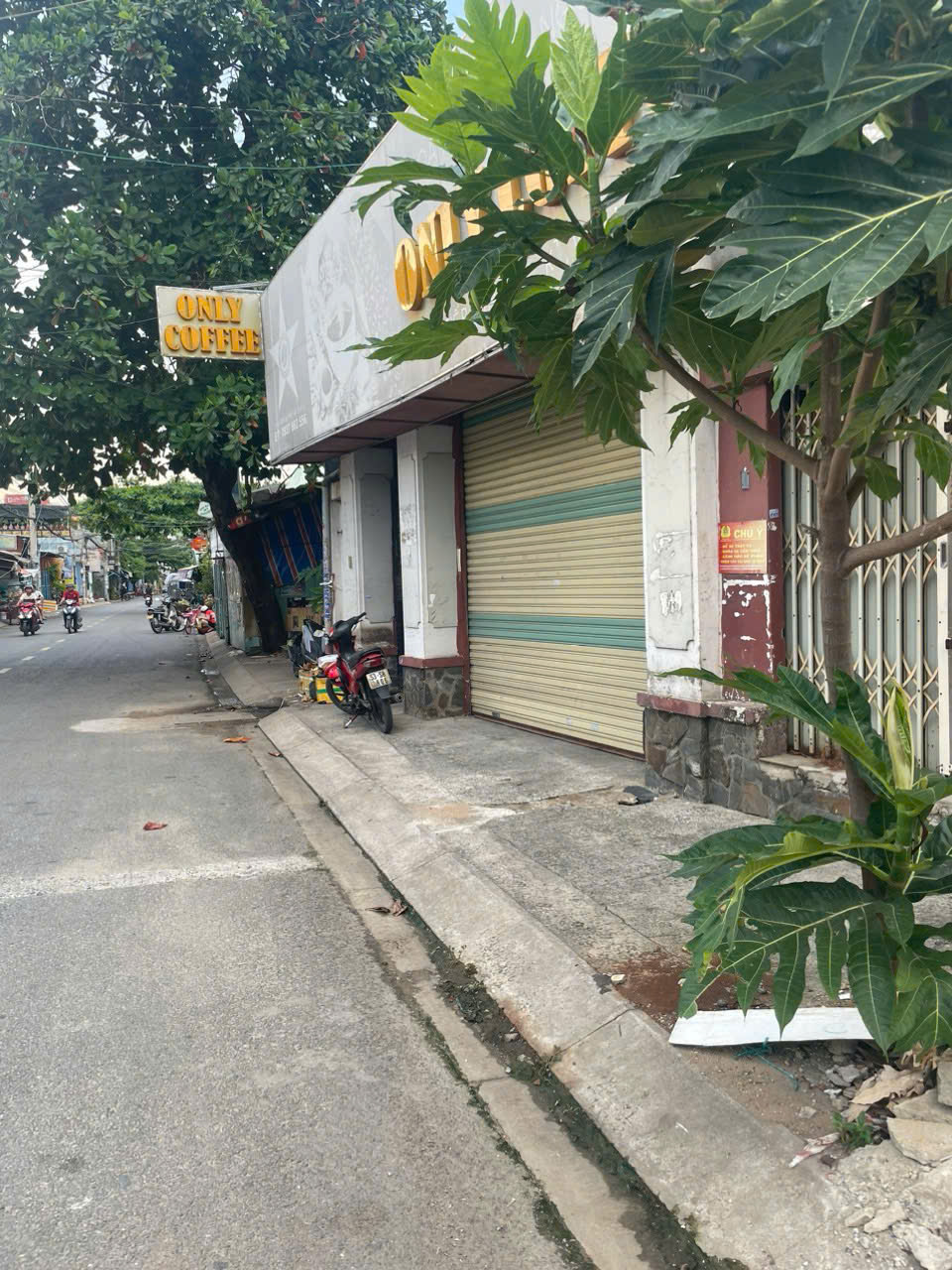 z5665001953559_0da03d375aa3cdea739d4dfe0e0d48d1