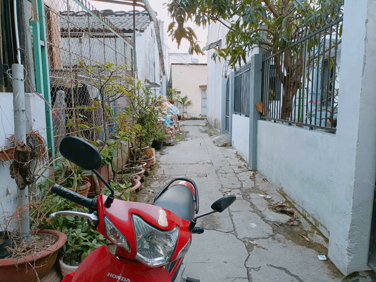 z5665311047598_3480350ebb3ce742290399ae86c9a450