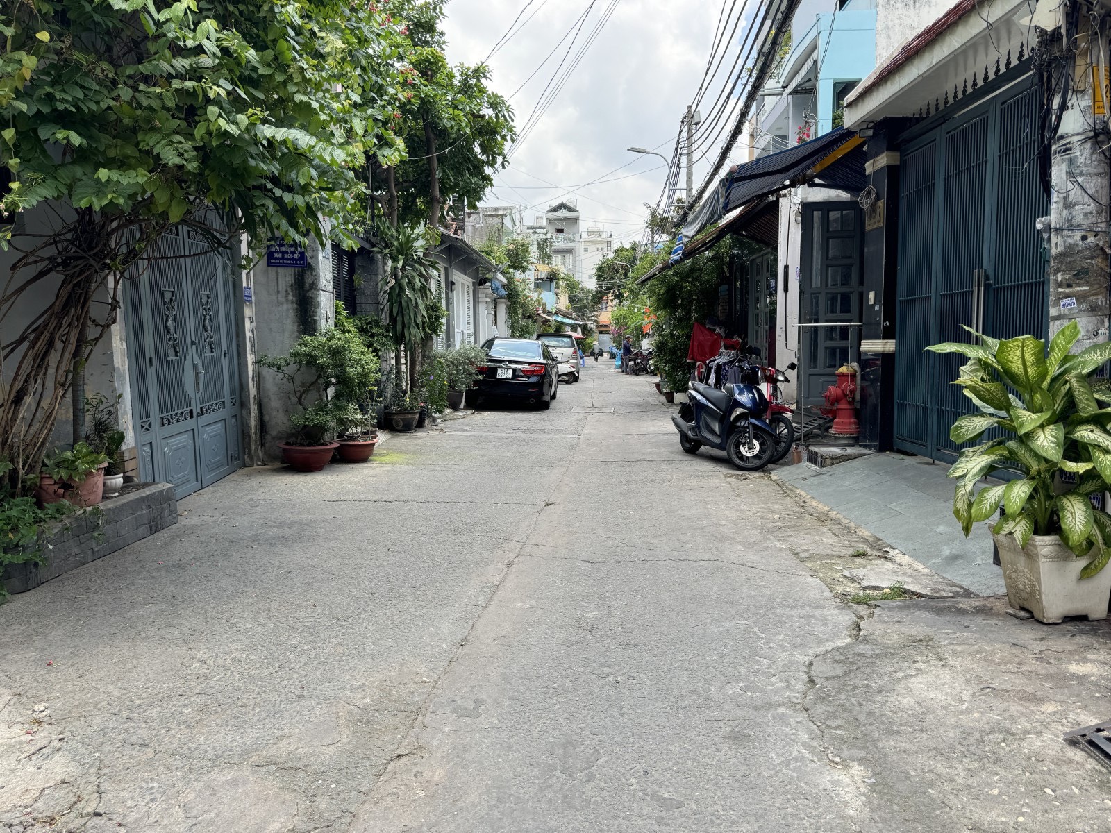 z5665437595025_c6c49c5fcf96da9615f5920b31749063