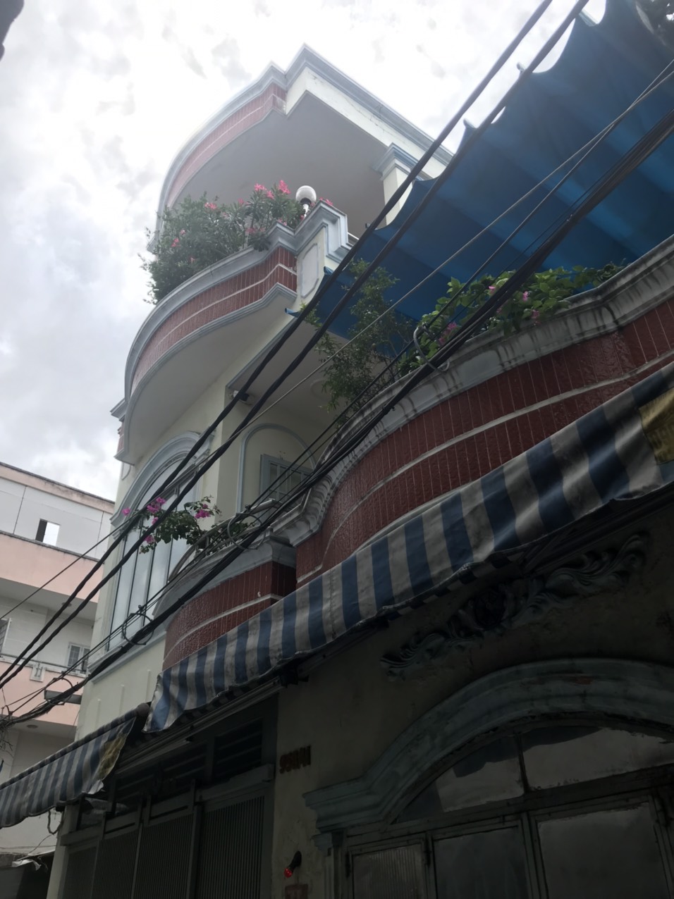 z5675309794768_77bf013d3a240bc05c3cb7302000c0f9