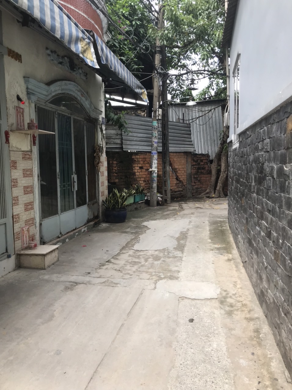 z5675309828484_3d5107f9adb569596595b092776200b6