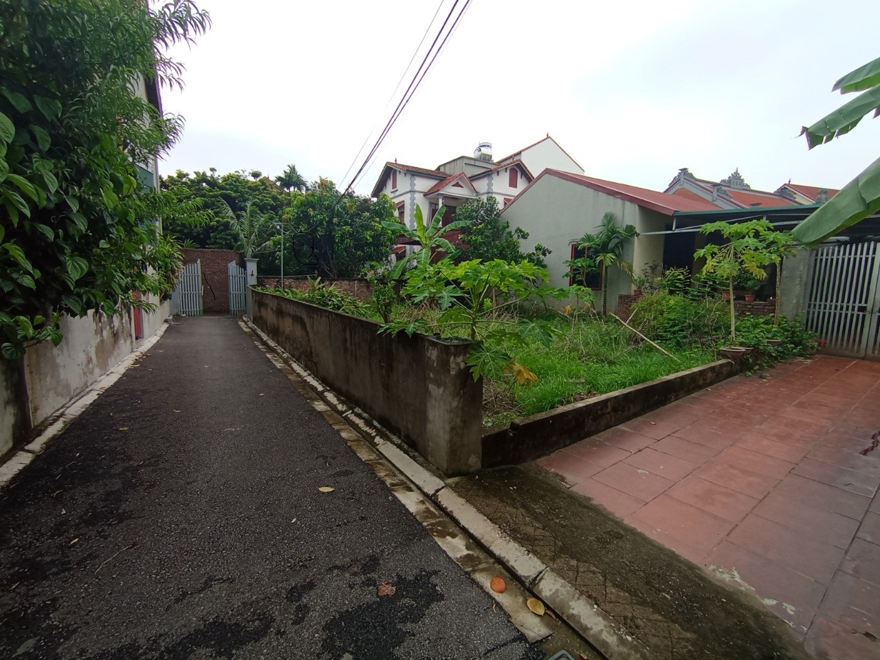 z5675519904513_d47442845c9b24bc8d7484806cd473ce