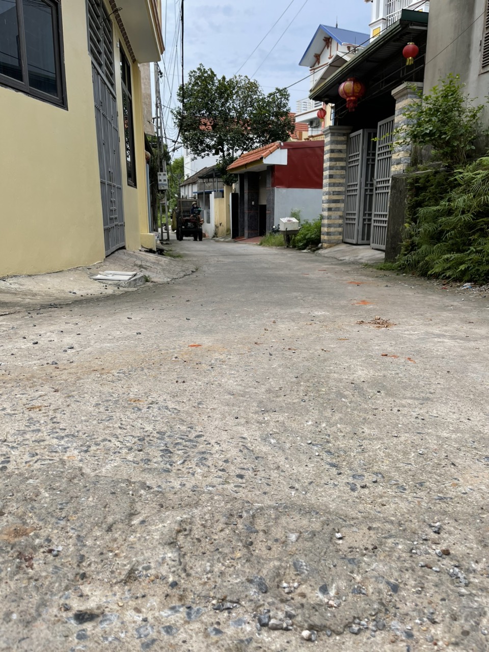 z5679634490444_5cf6f80382a1011d87b9e0194ebe7cd0