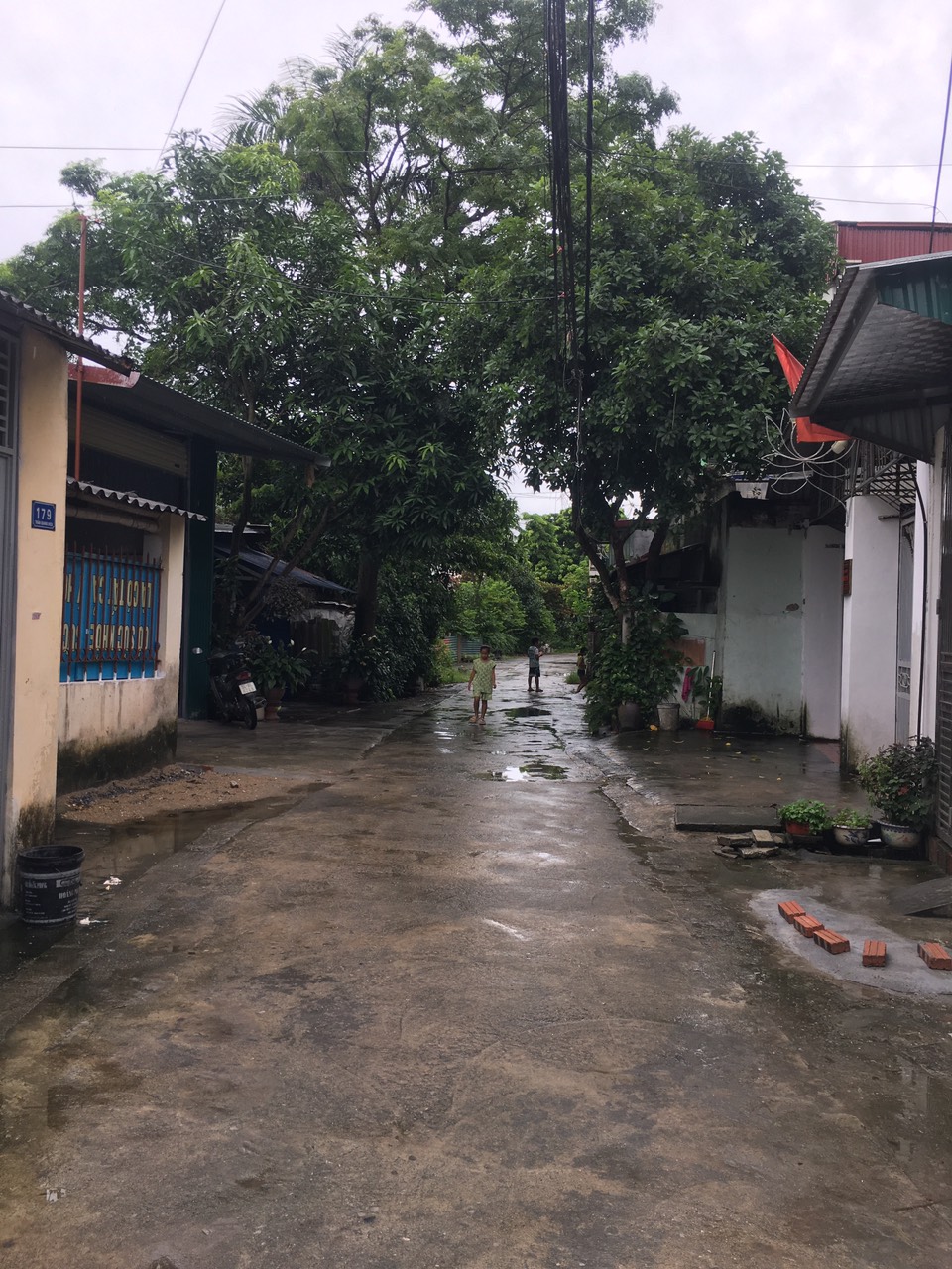 z5687762879961_979829de89f521aded917fd677879a7d