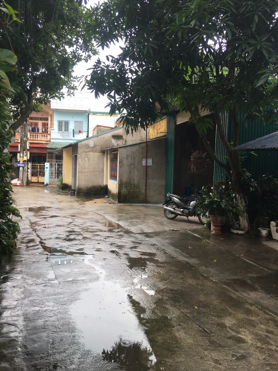 z5687762879966_53e8f91972506e1445bf549fbe588cbf