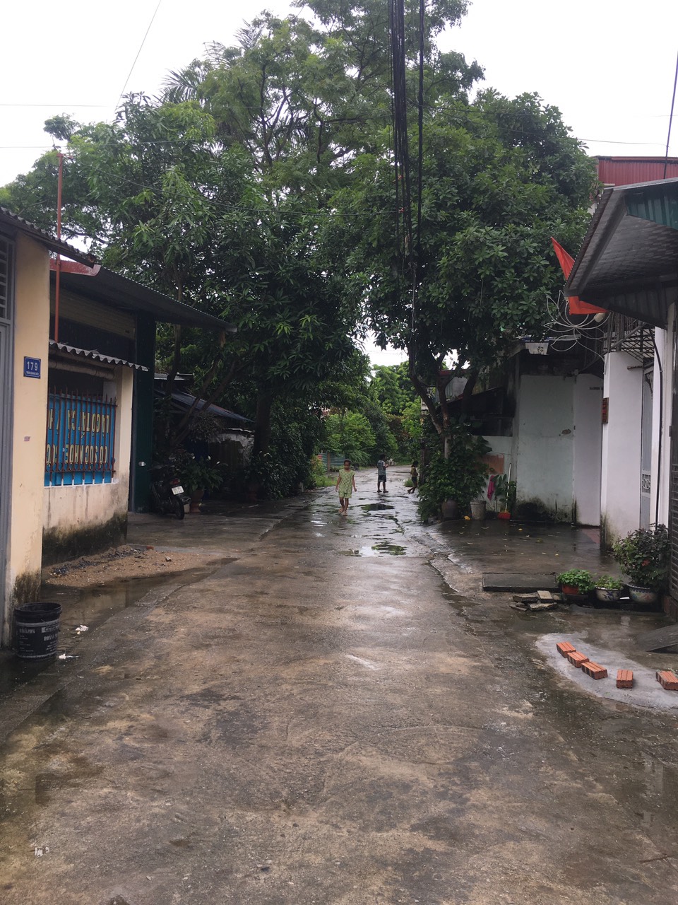 z5687762920965_1f29057ad552590e956c532a156defdf