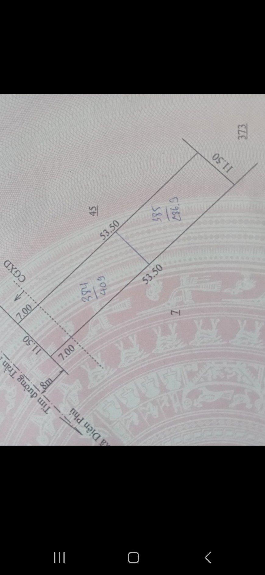 z5687860773437_253571da7df88dfe92beb8a402ee928b