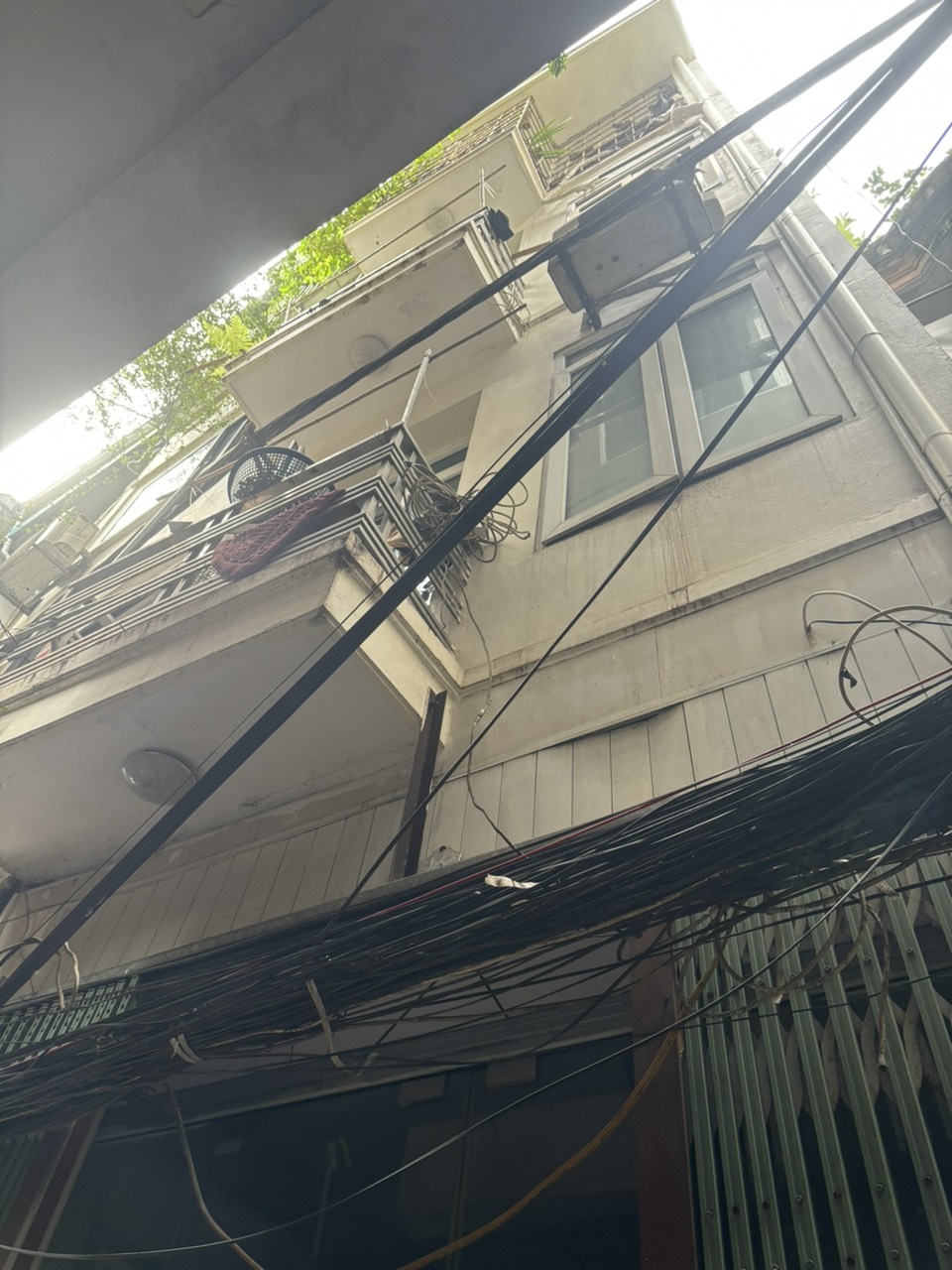 z5688079641186_efd8bee5547db1de456a2be62606497b