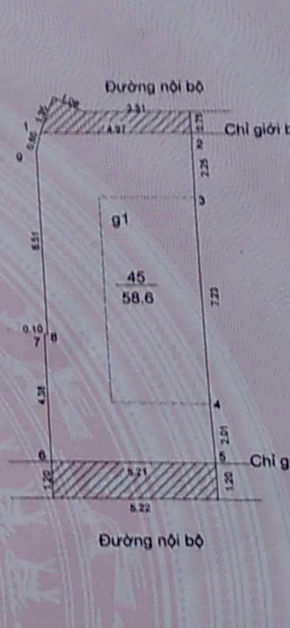 z5688524367211_251e33e8243ad8a894729656e42102e6